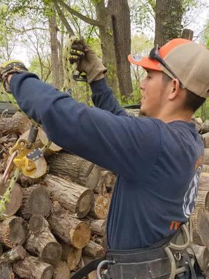 Aprende a escalar árboles 🌳 Part -2 #usa🇺🇸 #treeclimber #arboleros #treework #viral 