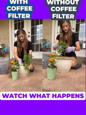 What do coffee filters do for potted plants? #planthacks #fyp #viral #pottedplants 