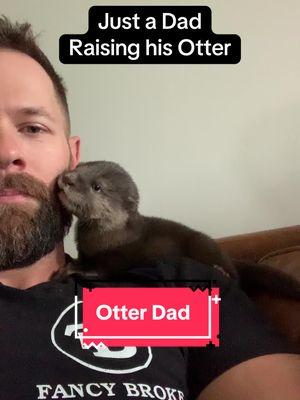 My A1 since day 1 🥰 #otter #ottertok #fyp #funnypets #asiansmallclawedotter #corndogtheotter #foryoupage #ottersoftiktok #mrstealyopearl #Love #trending #farmanimals #cuteanimals #fypシ゚viral #funnyanimals #viralvideo 