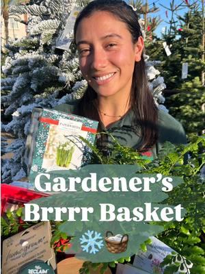 🎁✨ Create the perfect BRRR Basket for the gardener in your life! This trendy, cozy gift idea is all about thoughtful hand-picked essentials & indulgences placed in a reusable basket. Here’s how to build the perfect gift for plant lovers with some of this weekend’s best deals: 🧤 Eco-friendly Garden Gloves – Crafted from 50% recycled bottles, these snug, dirt-proof gloves are comfy and sustainable. A gardener’s must-have! Reg. 9.99 SALE 3.99 🌸 Amaryllis & Paperwhite Bulb Kits – Add a pop of holiday charm! These easy-to-grow kits bloom into vibrant trumpet flowers or fragrant paperwhites. Perfect for planting and decorating. Reg. 14.99 SALE 6.99 💧 Pocket Hose® Copper Bullet – Stylish, space-saving, and functional! This expandable hose with a 10-pattern spray nozzle is perfect for patio plants or balcony gardens. Reg. 69.99 SALE 39.99 Arrange everything in a woven basket or planter for a gift that’s as practical as it is pretty. Cozy vibes for the green thumbs you love! 🌿❤️ #BrrrBasket #GardenGiftIdeas #CozySeason #gardengifts #giftsforplantlovers #amaryllis 