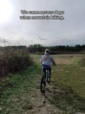 I caught this on my drone today.  Thoughts? I think the only thing i would have done different is left my bike to try and grab my food out for her.  #fyp #foryoupage #foryou #dogsoftiktok #weimaraner #atlanta #dog #fyppppppppppppppppppppppppp #fypシ #atlantadogs #weimaranersoftiktok #hoveairx1 #DogTraining