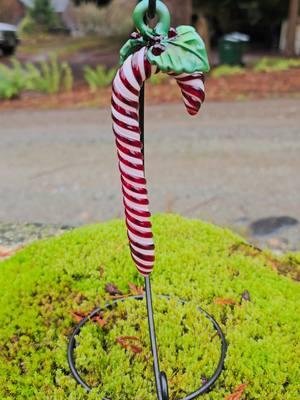 Candy Cane and Ribbon Candy out of glass. Love my job. #blownglass #jaaahmediaagency #TikTokLIVE #fieryguyglass #glassblowing #thefieryguy #glassblowing #LIVEhighlights #LIVE #glass 