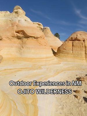 #Outdoors experiences in #NewMexico is back and this time we are at the #ojitowilderness #wilderness in #sandovalcounty a little over an hour outside of #albuquerque . #nmtrue #landofenchantment #505 #575 