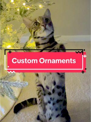 #floundercat #floundermeatloaf #christmascat #christmastreecat #bengalcat #leopardcat #ocelot #justiceforflounder #bengalcatsoftiktok #bengalcatworld #bengalcats #catgift 