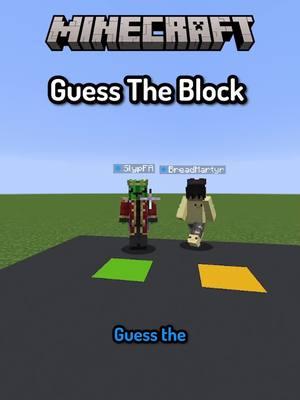 Minecraft Guess The Block #Minecraft #minecraftmemes #memes #funny #slyp 