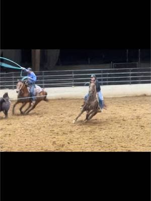 4yo roan first jackpot last night! Cant complain he handled it pretty dang good! Got to spin some on ole trusty Scratch! #DiamondQBPerformanceHorses #horsetrainer #headhorse #teamroping #jackpot #ropinghorse #cowgalmom #MomsofTikTok #roper 