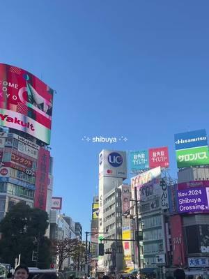 listening to frank ocean and clairo while wandering around shibuya alone might be the peak human experience #tokyo #japan #shibuya #Vlog #shopping #towerrecords #enhypen #shibuyacrossing #shibuyaarc #rilakkuma #shopping #ghibli #matcha #wandering 