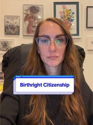 Trump is vowing to overturn birthright citizenship. Can he do it? #fairfightinitiative #fairfight #meghanmatt #donaldtrump #birthrightcitizenship 