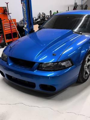 Cleanest 2v ive seen the color is next level and i am a huge fan of cowl hoods 🏎️🔥 -Bobs Auto Performance -614-572-3561 📱  -4425 Carroll Southern Road  Carroll Ohio 43112    #BobsAutoPerformance #BAP #Mustang #Coyote #Hellcat #Jeep #CTSV #Streetracing #Cobra #Corvette #gt350 #gt350r #gt500 #shelby #srt  #mopar #LS #LSA #LT4 #turbo #C6 #C7Z #Boosted #Turbo #Racecar  #c8 #z51 #fyp 