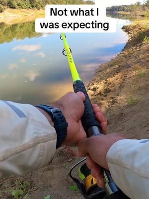 I catch way too many of these while #fishing  #gar #fishcontent #fishingvideo #tutles 