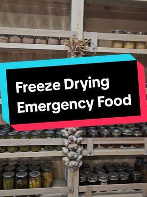 Freeze Drying meals for Emergency Preparedness. Do you feel ready to evacuate with less than 10 minutes notice? #earthquake #emergencypreparedness #selfsufficient #homesteadstuff #tsunami #freezedrying #foodpreservation 