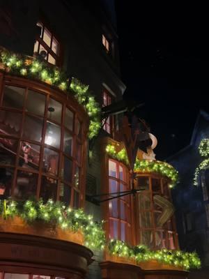 pov : this is your sign to visit diagon alley during the holidays 🖤🎄 #diagonalley #christmastiktok #harrypotterworld #diagonalleyuniversal #christmasathogwarts 