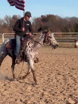 Cruella is always ready to saddle up and go. From wowing the crowd with her good looks to patiently waiting for you to get mounted, she’s sure to get the job done! [Link in Bio: Sparrow Spectacular] #cowponysales #cowpony  #ranchhorse #horseforsale  #ranch  #onlinehorsesale #trailhorse #ranchlife #ranching  #ranchmare #versatility  #appy #leopardappaloosa #appymare @Molly Roberts-Sparrow 