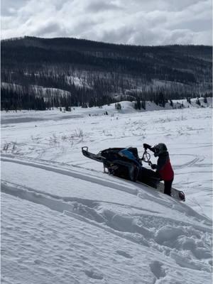 😅 #snowmobile #snowmobilevideos #sled  