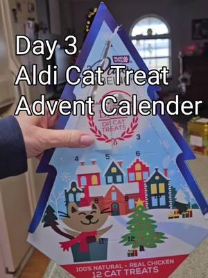 day 3, and Bisquick still hates them.  But Penny loves them.   #catsoftiktok  #aldifinds #mastiffsoftiktok #catadventcalendar 