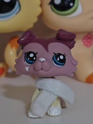 I swear I don't buy collies regularly 😭 I do not need more for the hoard, but I am glad I bought this one #lps #littlestpetshop #rarelps #lpscollection #lpscollector #lpstok #lpsunboxing 