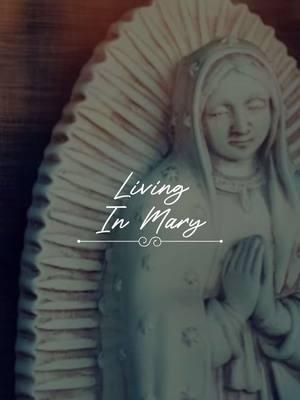 Living in Mary  #Catholic #CatholicFaith #Mary #VirginMary #MotherOfJesus #Jesus #JesusChrist #Pray #Prayer #CatholicPrayer  