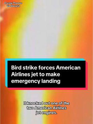 An American Airlines jet departing from New York's #LaGuardia Airport was forced to make an emergency landing after a bird strike disabled one of its two engines. None of the nearly 200 passengers on board were injured. #news #plane #aviation #birdstrike #jfk #newyork #americanairlines #nyc #travel  