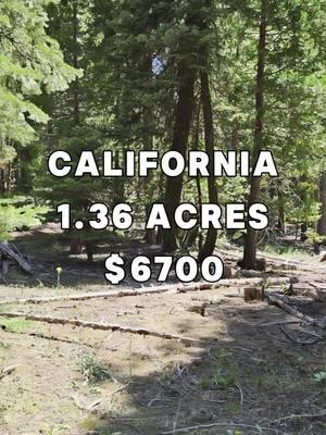 1.36 Acres with road access for Sale in Alturas California for $6,700 #land #property #investing #cheap #forsale #sale #vacantland #landcentury #USA #fyp #viral #realestate #realestateagent #realtor #realtors #realestateagents #flip #flips #flipping #properties #propertyforsale 