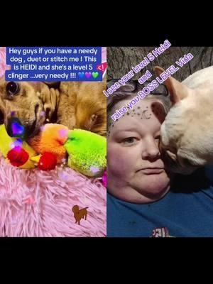 #duet with @Shelly Spradling #needydog #dogtok #dogsoftiktok #frenchie #frenchiesoftiktok #frenchietok #needy #clingy #yourpagetiktok #yourpage #youpage #you #fypage #fyp #fypシ #fypシ゚viral 