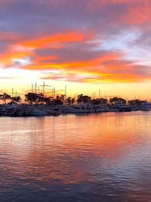 Beautiful December sunset in Dana Point ✨🌅🫶🏻 #sunset #california #danapointharbor #sunsetsofinstagram #danapoint #ecotourism #sunsetlovers #orangecounty 🎥 by @oceanluvr4ever 