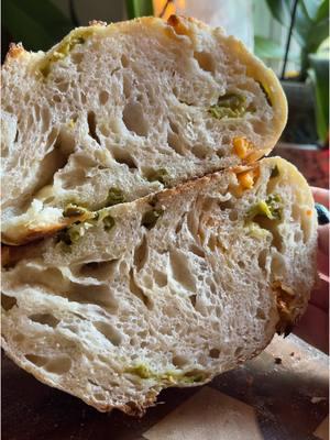 Replying to @B✨ baking 2 of the 6 jalapeño cheddar sourdough loaves #sourdough #sourdoughtok #sourdoughclub #sourdoughtiktok #sourdoughasmr #sourdoughcrunch #sourdoughbread #jalapeñocheddar 