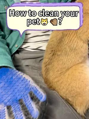 Pet grooming gloves🧤#petcleaning #PetsOfTikTok #petsmartmademebuyit #fyp #catsoftiktok #cute #cat #petgrooming #petgroomingglove #TikTokShopHolidayHaul #mademyyear 