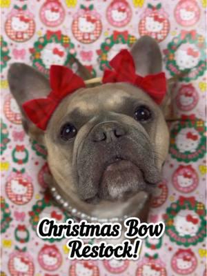 Christmas Bow Restock! Run! 🥰🎀🎅🏻 #christmas #holidays #frenchiesofinstagram #frenchielove #frenchielife #frenchieoftheday #bulldog #dogs #puppylove #dogaccessories  #puppies #frenchiemom #frenchiepuppy #frenchbulldog #frenchie #frenchies #dogmodel #dogbows #doberman #dachshund #poodle #pitbull #bully #lab #husky #canecorso #yorkie #schnauzer #shitzu 