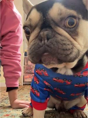 He was like 🤨🤨🤨 #frenchiemom #frenchie #frenchbulldog #frenchiesoftiktok #frenchietok #dogtok #dogmom #frenchies #dogsoftiktok #frenchbulldogsoftiktok 