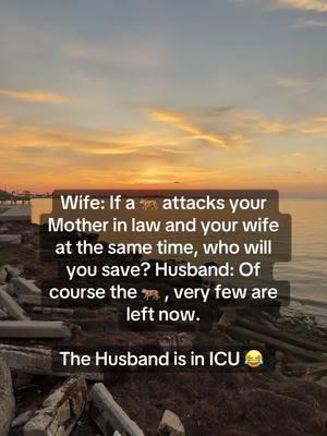 Guess that was the wrobg answer 🤷 #tiger #wife #motherinlaw #inlaw #jokes #icu #dadjokes #therealwades 