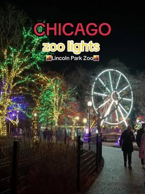 Something fun #chicago #thingstodochicago #nightdoneright #winteractivities #illinois #chitown 