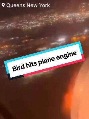 BREAKING NEWS: Bird Strike Forces Emergency Landing at JFK A passenger jet bound for Charlotte has made an emergency landing at JFK Airport after a bird strike disabled one of its engines.  * Passengers and Crew: All 150 passengers and crew are safe.  * Evacuation: The plane is being evacuated safely.  * Details: The airline is investigating the incident and will provide more information as it becomes available. Stay tuned for updates. #JFK #EmergencyLanding #BirdStrike #PlaneNews #NYC #Breaking