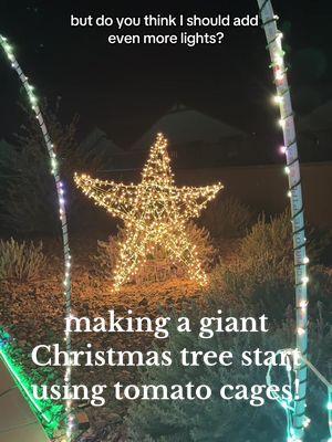 I made a giant Christmas tree star out of tomato cages ⭐️ I was walking around the garden center the other day.. and saw some of these tomato cages on sale and had a thought that they would make the perfect giant star!! I connected them together using thin galvanized wire and then strung on some Christmas string lights I had on hand - I secured the lights into place along the frame using zip ties. Do you think I should pick up another box of lights and add even more?! I think some twinkle lights would be a nice touch!! #DIY #diyyarddecor #winterlighttrail #giantchristmastreestar #doityourself #christmasyarddecor #diyyardecorations #holidaydecor #holidaydecorations 