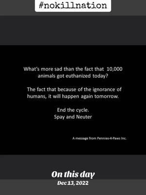 There is a special place in hell for people who breed. Until no animal has to die due to lack of space/homes: F*CK breeders. Be a responsible owner and spay/neuter your pet-Or dont have one! #spayneuter #fuckbreeders #adopt #adoptdontshop #animalshelter #nokillnation #keepthemalive #cats #dogs #catpeople #cattok #peoplesuck #shelteranimals #sheltercat #karma  