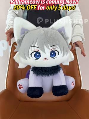 Killuameow is coming Now! #killua #killuazoldyck #hxh #hxhcosplay  #hunterxhunter #hunterxhuntercosplay #killuacosplay #cosplaytransition #killuazoldyckcosplay #hunterhunter#gon #gonfreecs #anime #animeedit #plushies #plushtoys #fyp 