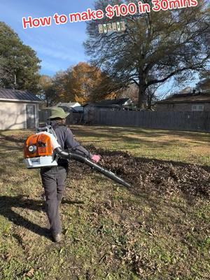 Lawn Hack 💴💴 the quickest way to get up 🍁’s no bags or rakes 😁😁 #lewisbiglhampton #lawnservice #leaves #leafhack #lawnhack #viral #fypppp