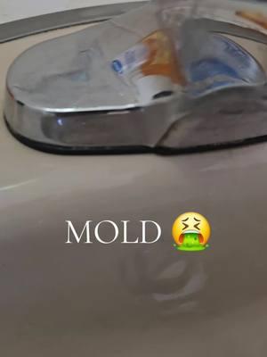 Mold Stain Remover #mold #CleanTok #bathroomcleaner #grout #bathroom #cleanwithme #cleaning #CapCut 