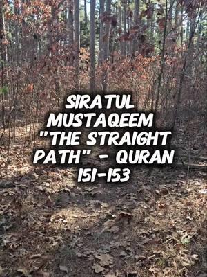 SIRATUL MUSTAQEEM "THE STRAIGHT PATH" - QURAN 151-153 #God #godisgood #godisgreat #allah #allahuekber #allahuakbar #islamic #islamic_video #islamicreminder #islam #muslim #muslimah #muslimtiktok #americanmuslim #revert #revertmuslim #reverttoislam #denkujo #dawah #guidance #quran #quran_alkarim #kuran #kuranıkerim #coran #koran #hadith #piety #pray #prayer #salah #thikr #zikr #remembrance #reminder  #servant #determination #sin #repentance #effort #motivation #inspiration  #knowledge #justice #honor #courage #commitment #taqwa #sunnah #example  #siratulmustaqim #fatiha 