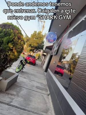 En el merito 📍URUAPAN🥑 #uruapan #sharkgymuruapan #sharkgym #uruapanmichoacan #uruapan 