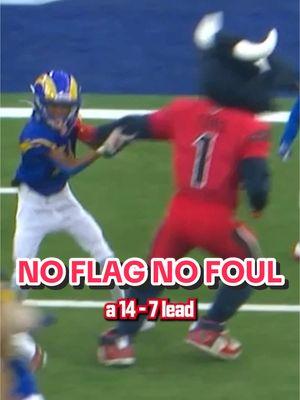 no flag no foul 🤣 #houston #texans #mascot #football #peewee 