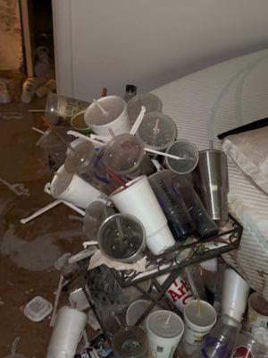 Definitely one of the more severe hoarding situations I have seen! #hoarding #hoardingcleanup #hoarders #biohazardcleaning #biohazard #crimescenecleaning #cleaning #CleanTok 