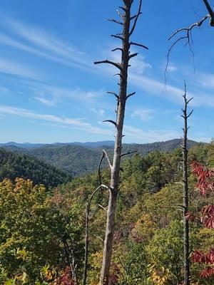 #togodbetheglory #Love #blessed #addicted #ilovechickens #jeep #northgamountains #wander #themountainsarecalling #georgia 