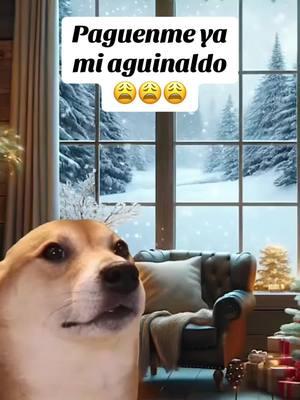 Mi aguinaldo #paratiiiiiiiiiiiiiiiiiiiiiiiiiiiiiii #teamcanguros #latinosmx #fypシ #viraltiktok #viral #latinosenusa🇺🇸 #latinos #teamcanguros🦘hagamos #mexico #msk 