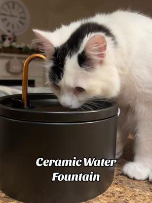 💧Elevate your pet’s hydration game with this ceramic water fountain! 🐾 Designed for fresh, flowing water that pets love, it’s stylish, whisper-quiet, and easy to clean. Keep your furry friend hydrated and happy with every sip! 🐶🐱 #HydrationStation #HealthyPets #FountainForPets #PetParentLife #PetLovers #CatFountain #DogWaterFountain #PetCareMadeEasy #StayHydratedFurryFriends #PetWellness #HappyPets 