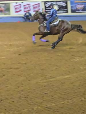 Round 2 of OKC Futurity is complete! #okcfuturity #winnerinthemaking #stallionsoftiktok #aqhastallion #famelovencash #bigstepper 