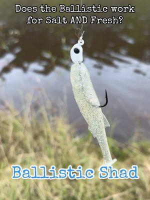 Fresh or Salt. The 3.8” Ballistic Shad has a great resume catching. #tacticalfishingco #bassfishing #fishtok #fishingtiktoks #underwater #swimbait #saltwaterfishing 