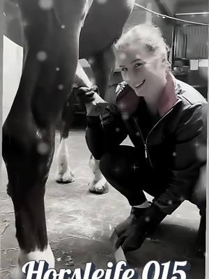 OMG Girls horse cleaning and playing with horse 😅😅 #horse #playinghorse # play #horsebreeding #breedinghorse #breeding #tiktok