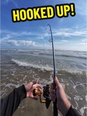 FISHING at the BEACH for WHATEVER BITES!                                #fishtok #saltwater #howtofish #shrimp #bait #shark #beach #surffishing #bigfish 