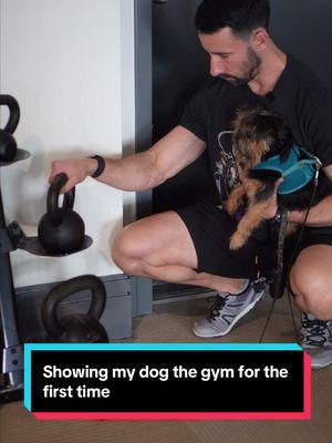 Showing my 10 year old dog the gym for the first time. #fitness #dog #brusselsgriffon #gym