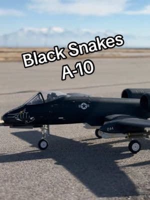 Steve’s Custom Black Snakes Freewing Twin 80mm A-10 #rc #rcairshenanigans #rcjet #freewing #A10 @Steve Dawson178 @Ross Downard @KB_RC @K.S.F Productions @Motion RC 